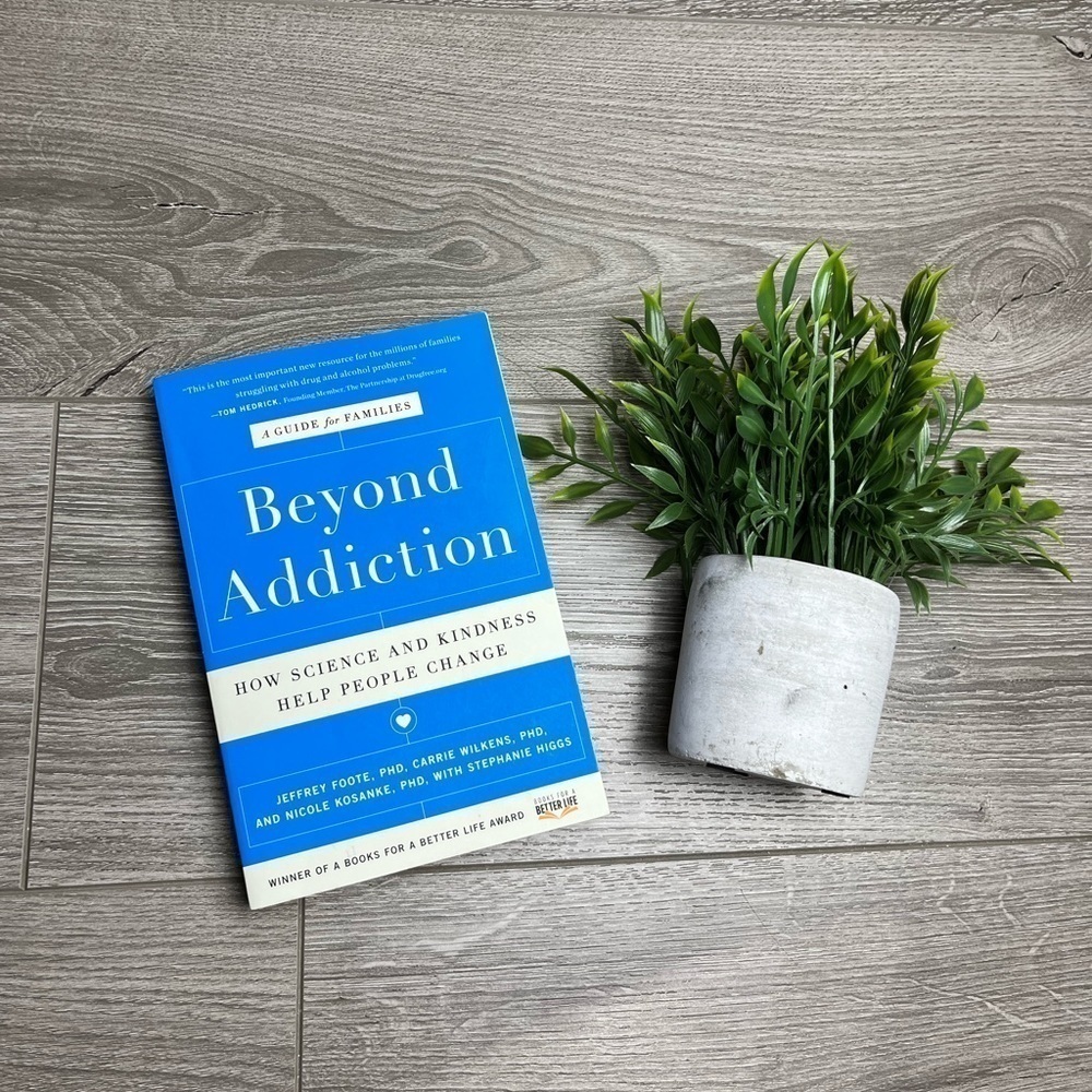 Beyond Addiction - A Guide for Families